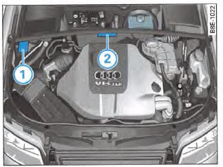 Compartiment- moteur : identification du véhicule